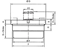 Ready CDSK Type Pancake Cylinders