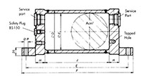 Ready NPT Type Custom Welded Tanks